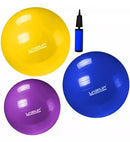 Bola Suíça Premium  LiveUp Sports