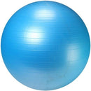 Bola Suíça Premium  LiveUp Sports